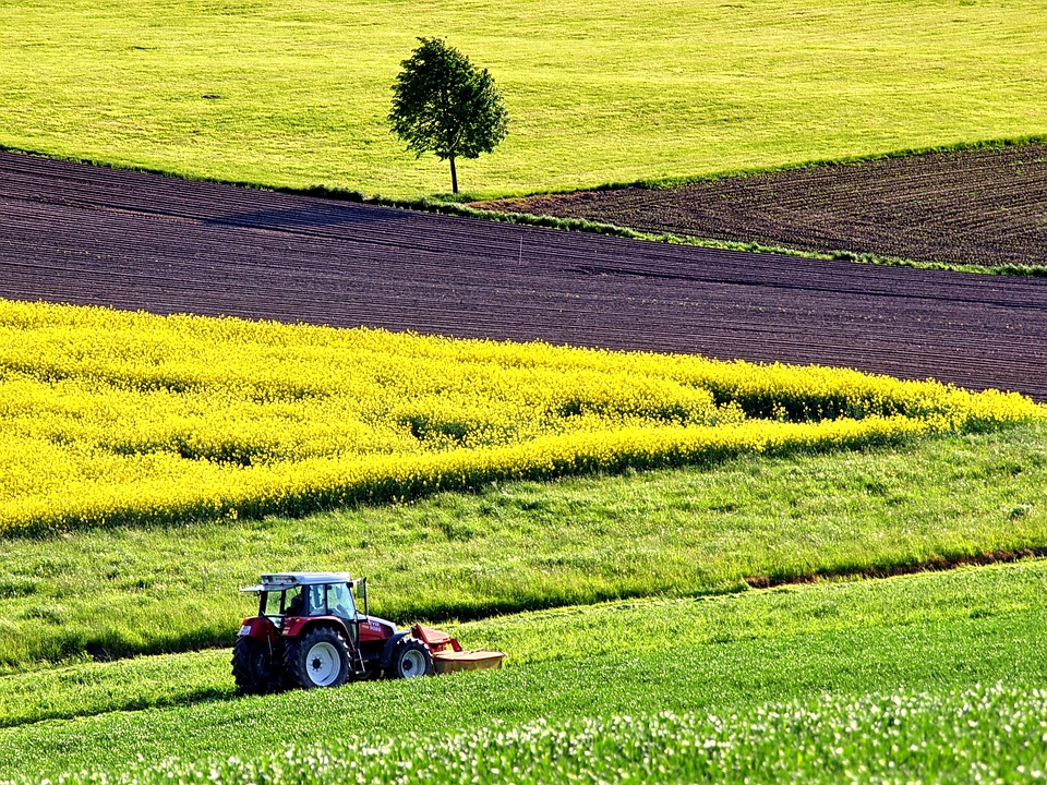 agriculture-glyphosate-cout-substitut-naturel