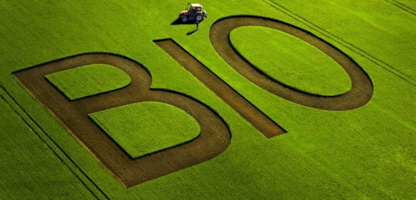 bio-agriculture-monde-france