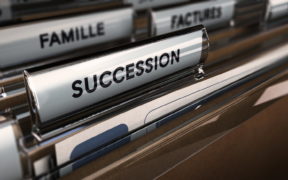 succession-élection présidentielle